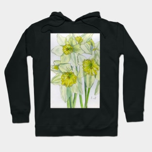 Daffodils watercolour painting Hoodie